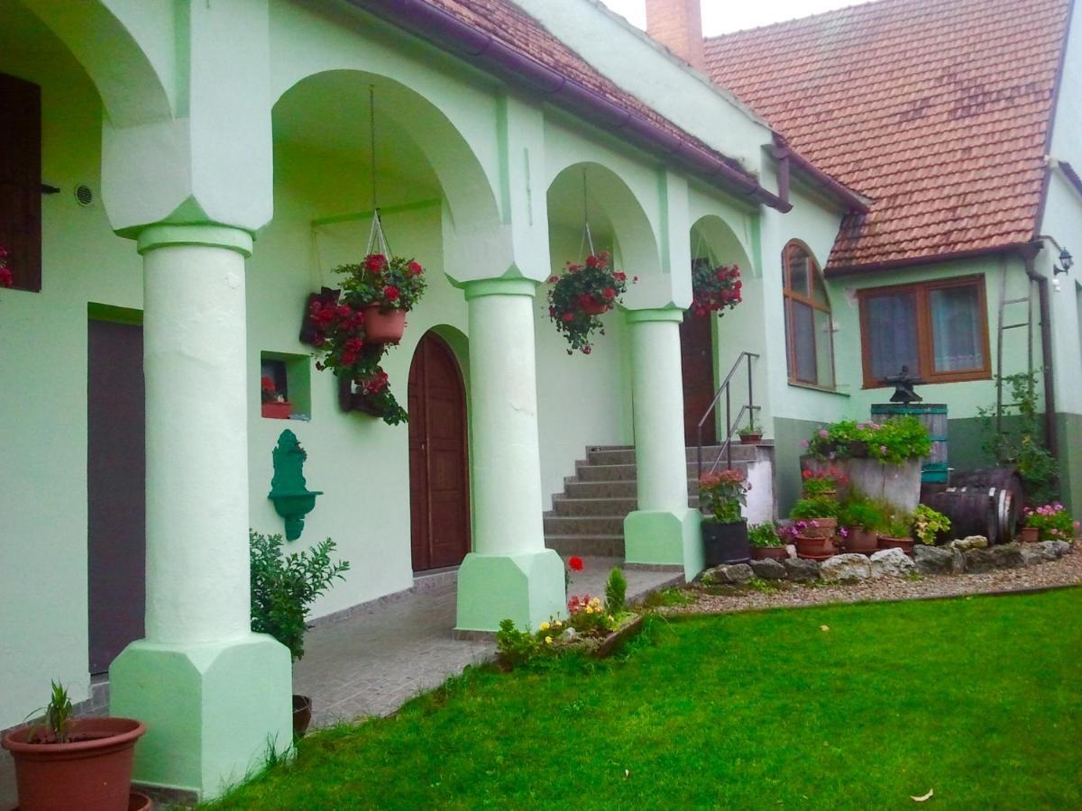 Na Upati Palavy Hotel Horni Vestonice Buitenkant foto