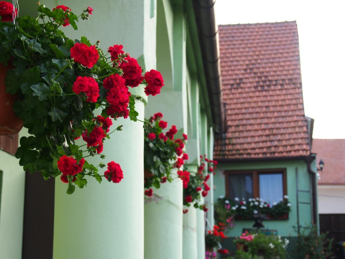 Na Upati Palavy Hotel Horni Vestonice Buitenkant foto