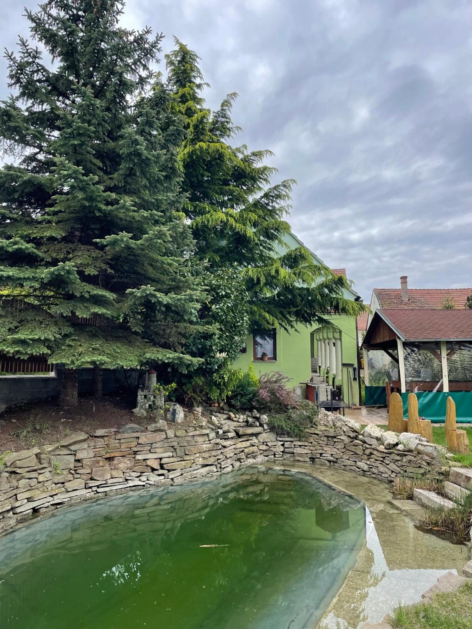 Na Upati Palavy Hotel Horni Vestonice Buitenkant foto