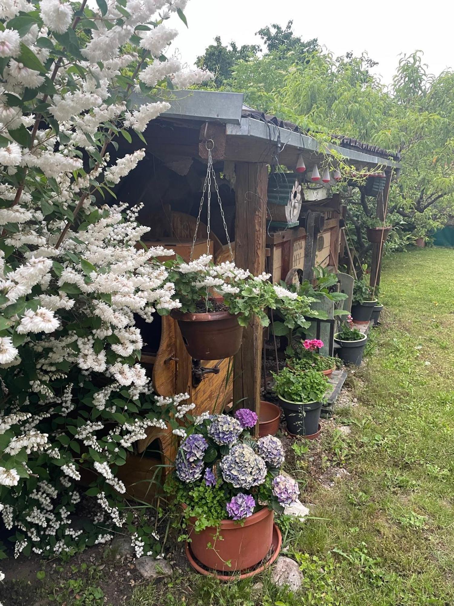 Na Upati Palavy Hotel Horni Vestonice Buitenkant foto